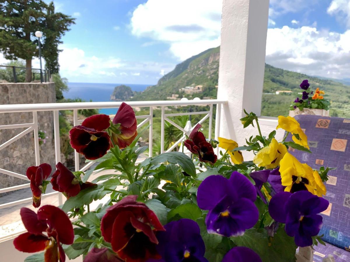 Ermones Diamond Holiday home *